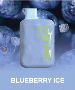 Lost Mary OS5000 BLUEBERRY ICE