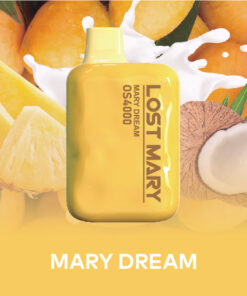 LOST MARY OS4000 mary dream