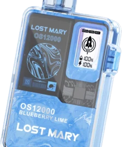 LOST MARY OS12000 Черника Лайм